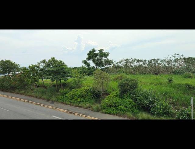 LAND FOR SALE IN BALLITO